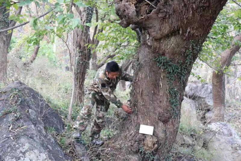 /gb2312/xianqugonghui/11283.html